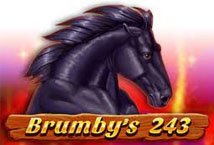 Brumbys 243